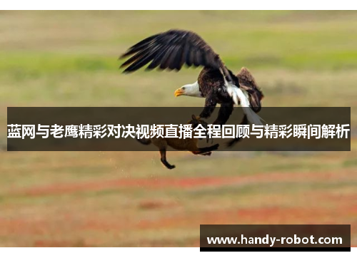 蓝网与老鹰精彩对决视频直播全程回顾与精彩瞬间解析