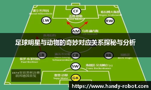 足球明星与动物的奇妙对应关系探秘与分析